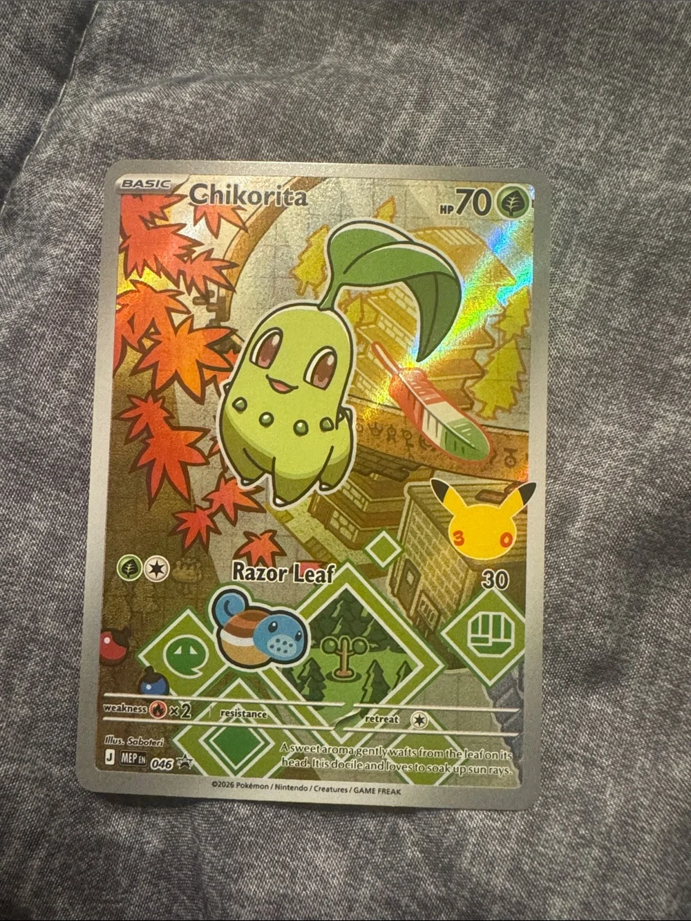Chikorita Holographic Pokémon Card